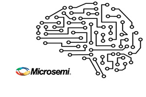 Microsemiɭl(f)Ƕʽ΢̎ȫFPGA-based ȫӅOӋ